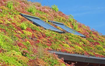 Bowgreave living roof systems