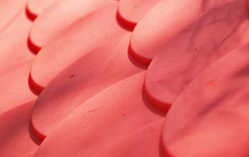 Bowgreave plastic roof costs