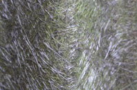 Bowgreave fibreglass roof work